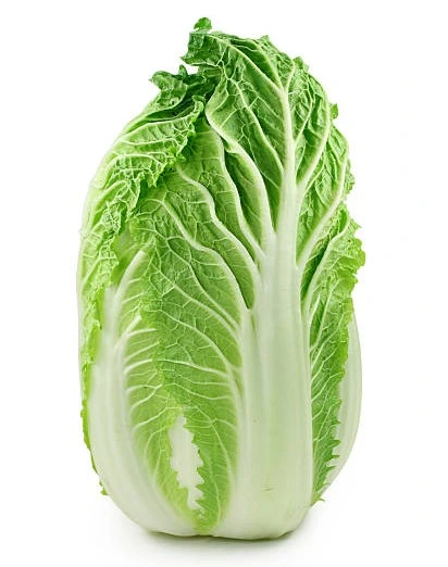 [S24056] Chou de Chine Osiris F1 - 50 graines