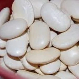 Haricot à rames à écosser d'Espagne, Orteils de prêcheur - 100 g