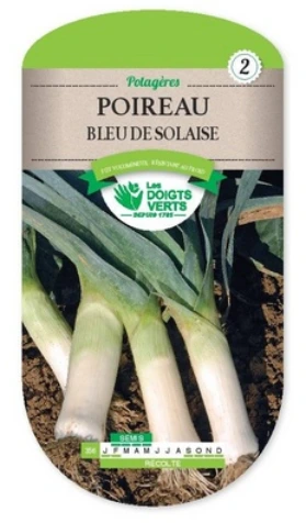 Poireau d'hiver Bleu de Solaize - 4 g