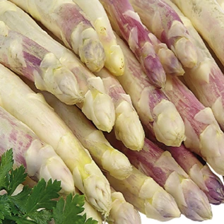 Asperge Argenteuil - 10 g