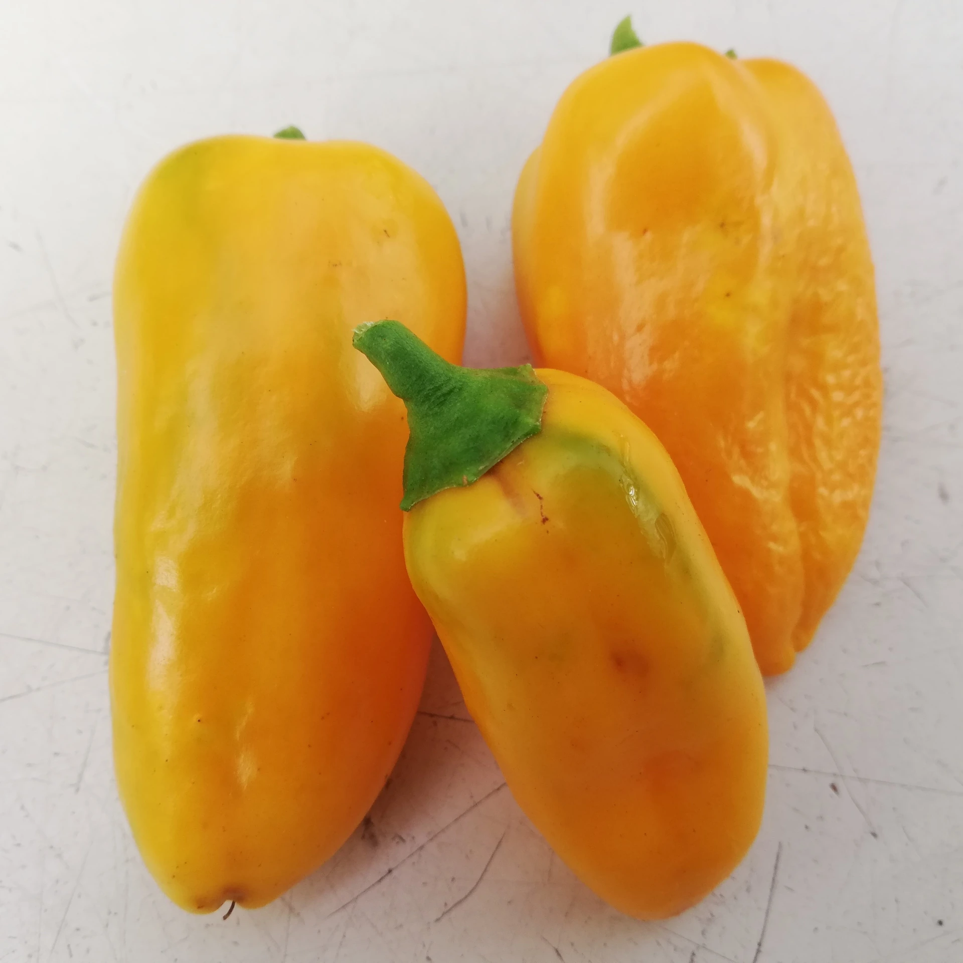 Poivron snack Lunchbox Yellow - 15 graines