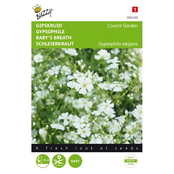 [B4330] Gypsophile Elegant Covent - 1,5 g