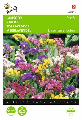 [B4725] Statice Pacific - 0,25 g