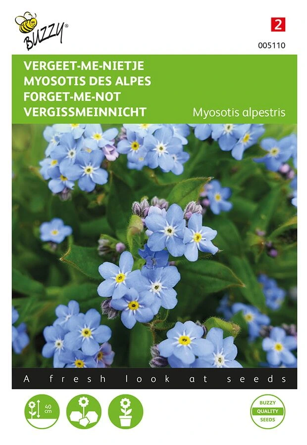 [B5110] Myosotis des Alpes - 0,5 g