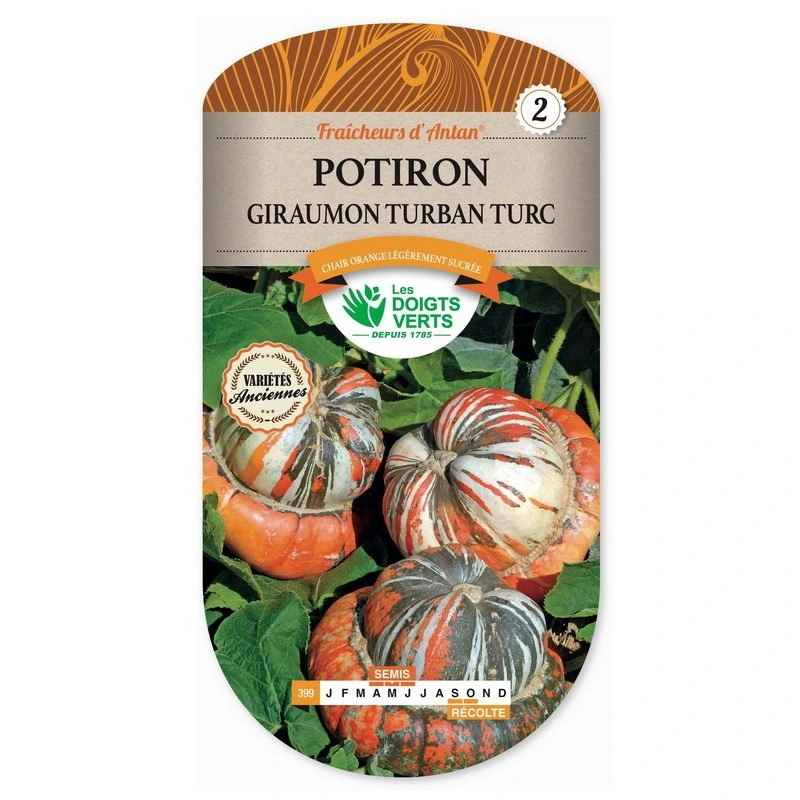 [D399] Potiron Giraumon - 4 g