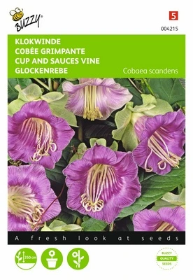 Cobée grimpante - 1 g