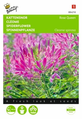 [B4210] Cleome Rose Queen - 0,75 g