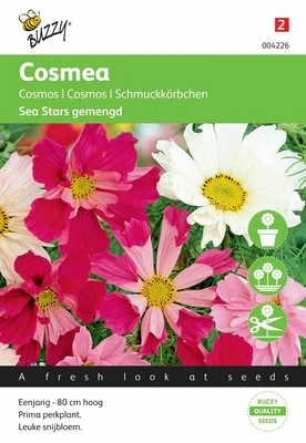 [B4226] Cosmos Sea Stars - 0,5 g