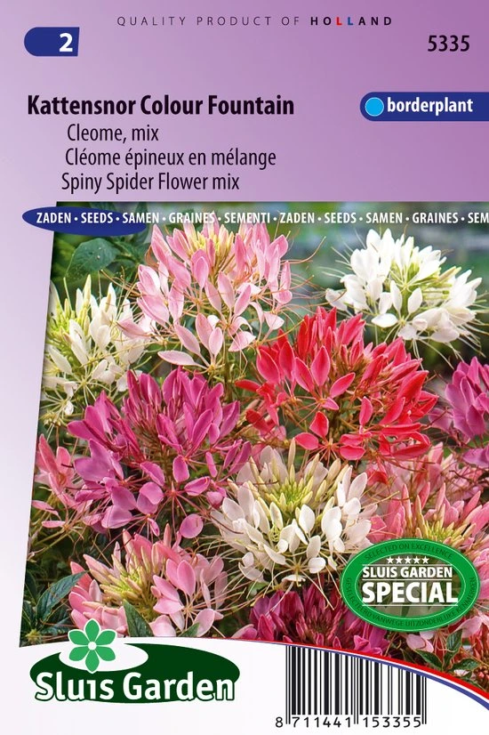 [R5335] Cleome spinosa Colour Fountain mix - 0,4 g - ca. 180