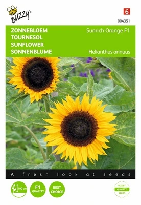 [B4351] Soleil-Tournesol Sunrich Orange F1 - 1 g