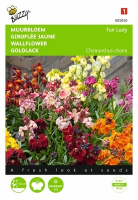 Giroflée Fair Lady - 0,75 g