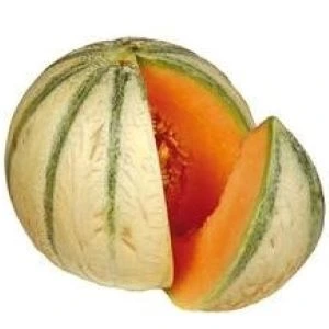 [S51060] Melon Cavaillon - 10 graines