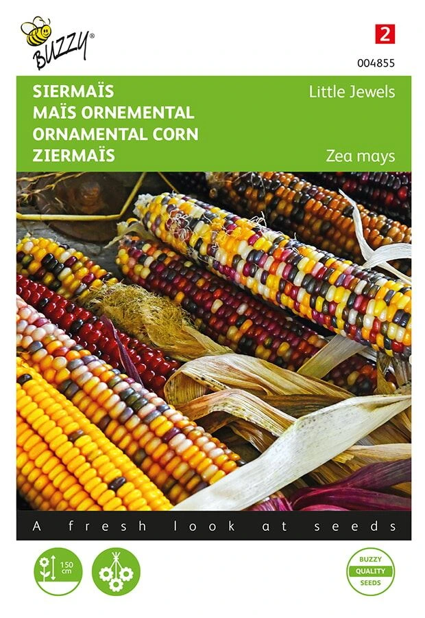 [B4855] Maïs ornemental - 7 g
