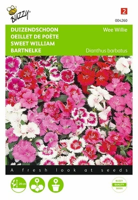 Oeillet de poète Wee Willy - 0,5 g