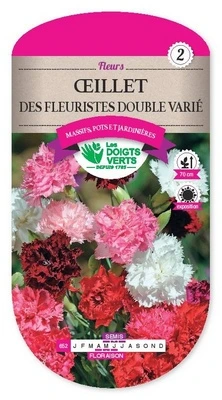 [D652] Oeillet des Fleuristes double - 0,6