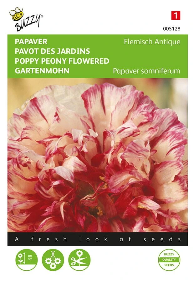 [B5128] Papaver somniferum Flemisch Antique - 0,25 g