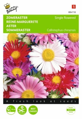 [B4110] Reine-Marguerite à fleurs simples - 1 g