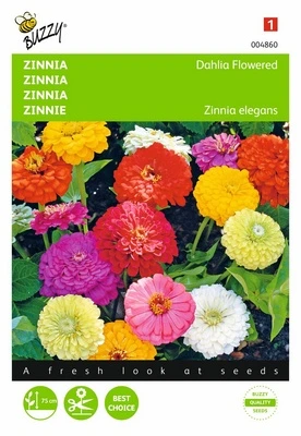 [B4860] Zinnia à fleurs de Dahlia - 1,5 g
