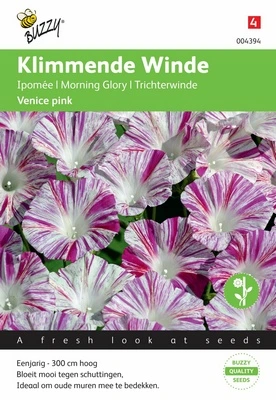 [B4394] Ipomée Venice Pink - 2 g