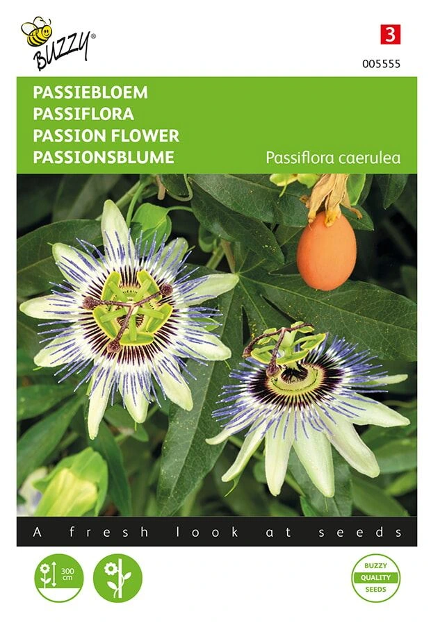 [B5555] Passiflore à fleur bleu étoilée - 0,33 g