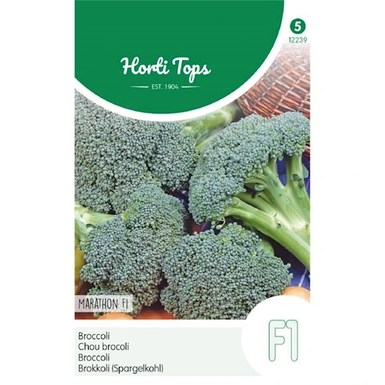 [H2239] Chou brocoli Marathon F1 - 75 graines