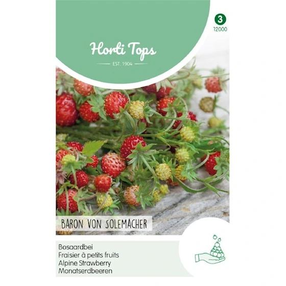 [H2000] Fraisier à petits fruits Baron von Solemacher - 0,25 g