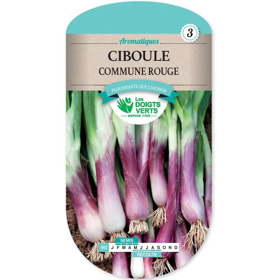 Ciboule à côtes rouges - 2 g