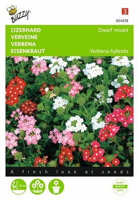 [B4838] Verveine Naine - 0,4 g