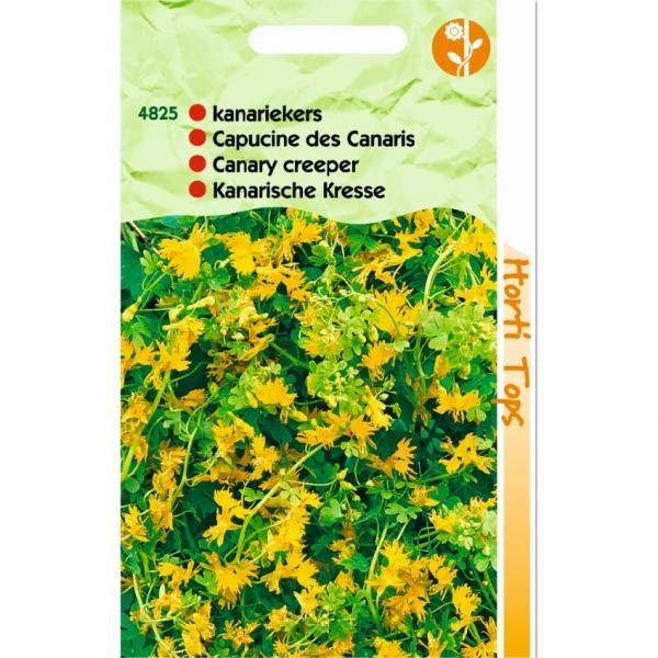 [H4825] Capucine des Canaris - 2,5 g