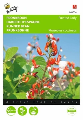 [B4634] Haricot d'Espagne Painted Lady - 20 g