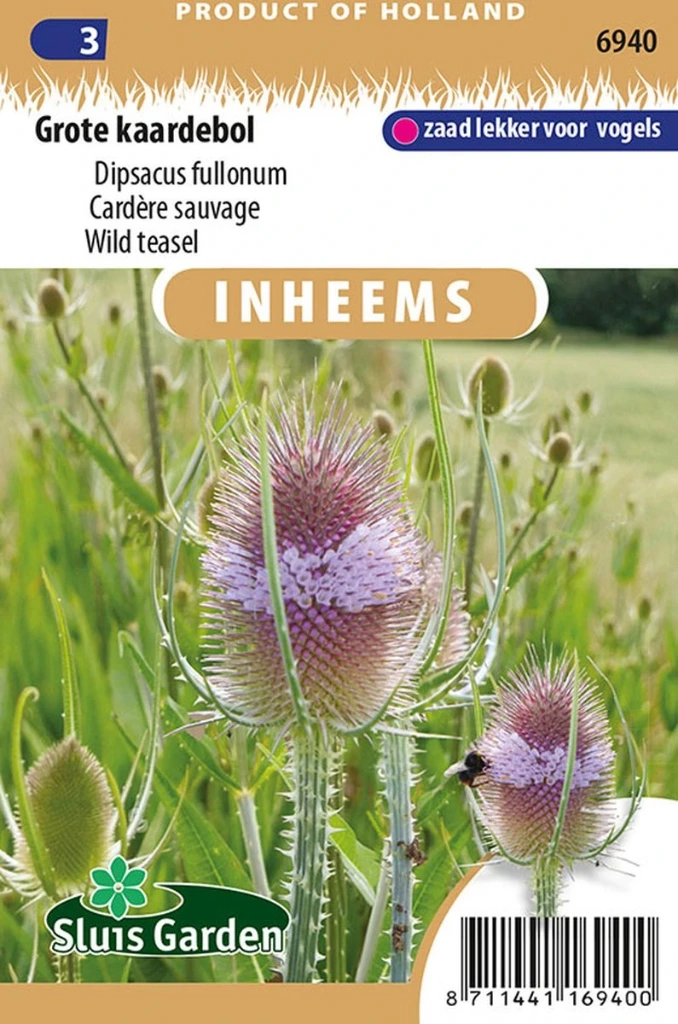 [R6940] Cardère sauvage - 0,5 g - ca. 150