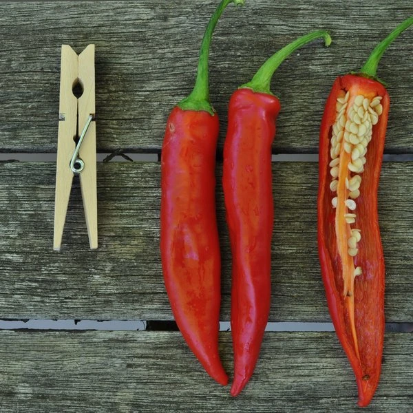 Piment fort Sucette de Provence - 15 graines