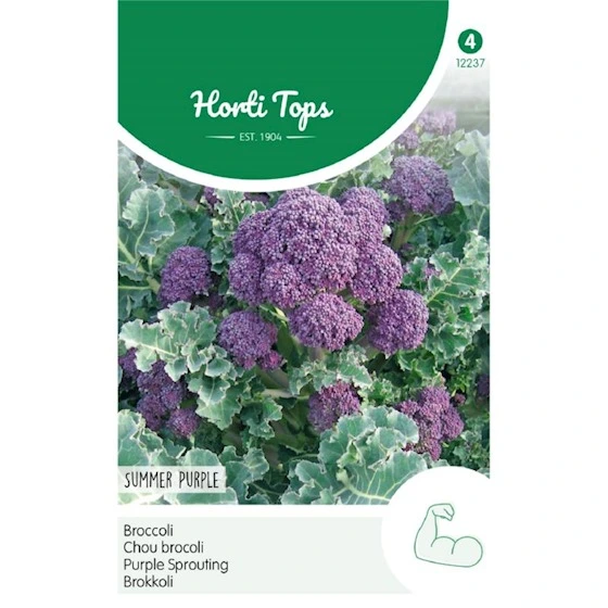 [H2237] Chou brocoli Summer Purple - 0,25 g