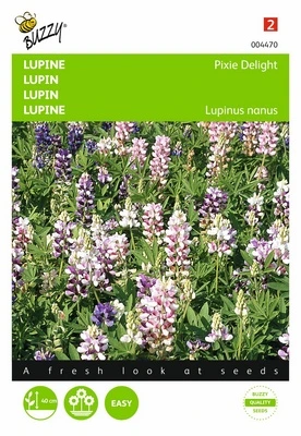 [B4470] Lupin Pixie Delight nain - 2 g