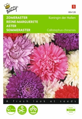 [B4120] Reine-Marguerite Reine des Halles - 1 g