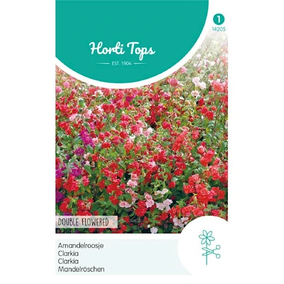 [H4205] Clarkia Elegans Double Variee - 1 g