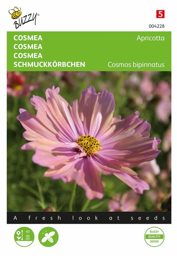 [B4228] Cosmos Apricotta - 30 gr