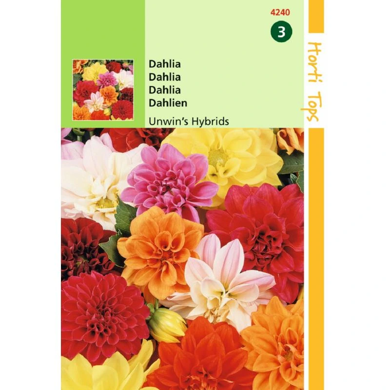 [H4240] Dahlia Unwin's Hybrids - 0,75 g