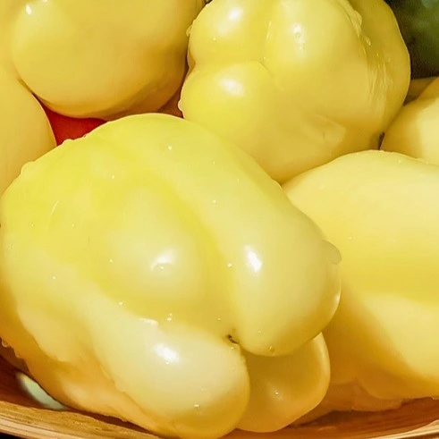 Poivron carré blanc Soroksari - 15 graines