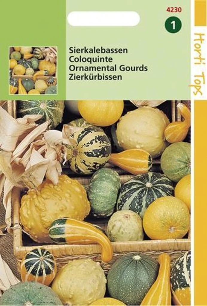 [H4230] Coloquinte A Petits Fruits - 2 g