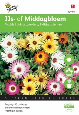 Ficoïde Livingstone Daisy - 0,5 g