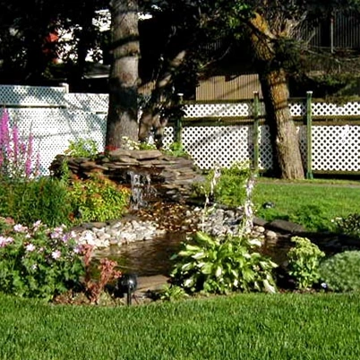 Gazon d'ombre - 1 kg