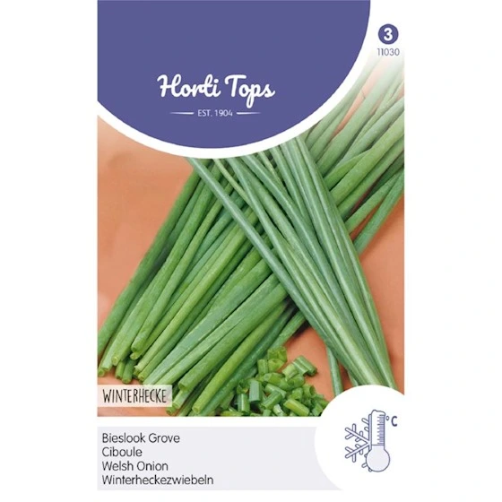 Ciboule blanche - 2 g