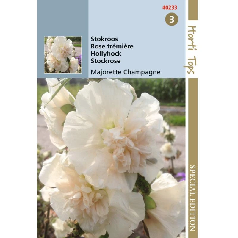 [H40233] Rose Trémière Majorette Champagne - 1 g