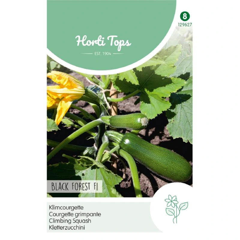 [H29627] Courgette Black Forest F1 - 8 graines