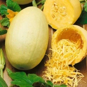 [S35050] Courge Spaghetti - 10 graines