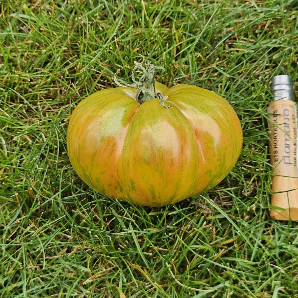 [S78042] Tomate Berkeley Tie Dye - 15 graines