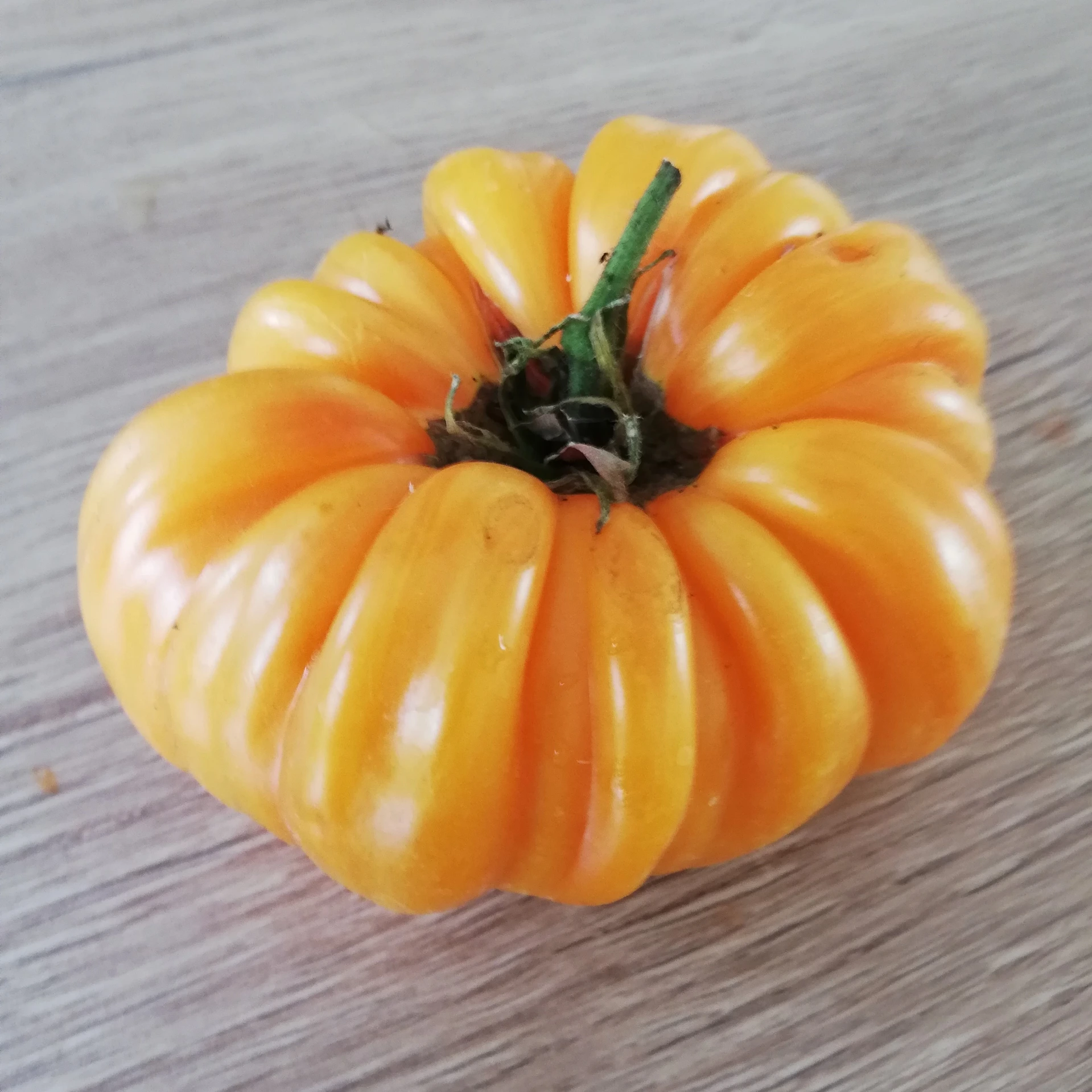 Tomate Bigly - 15 graines