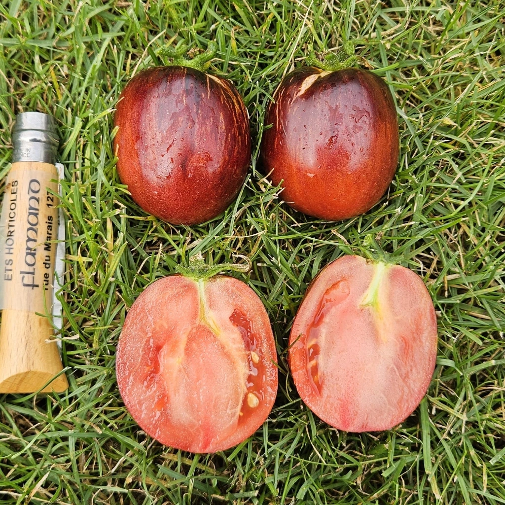 [S78145] Tomate Damascus Steel - 15 graines