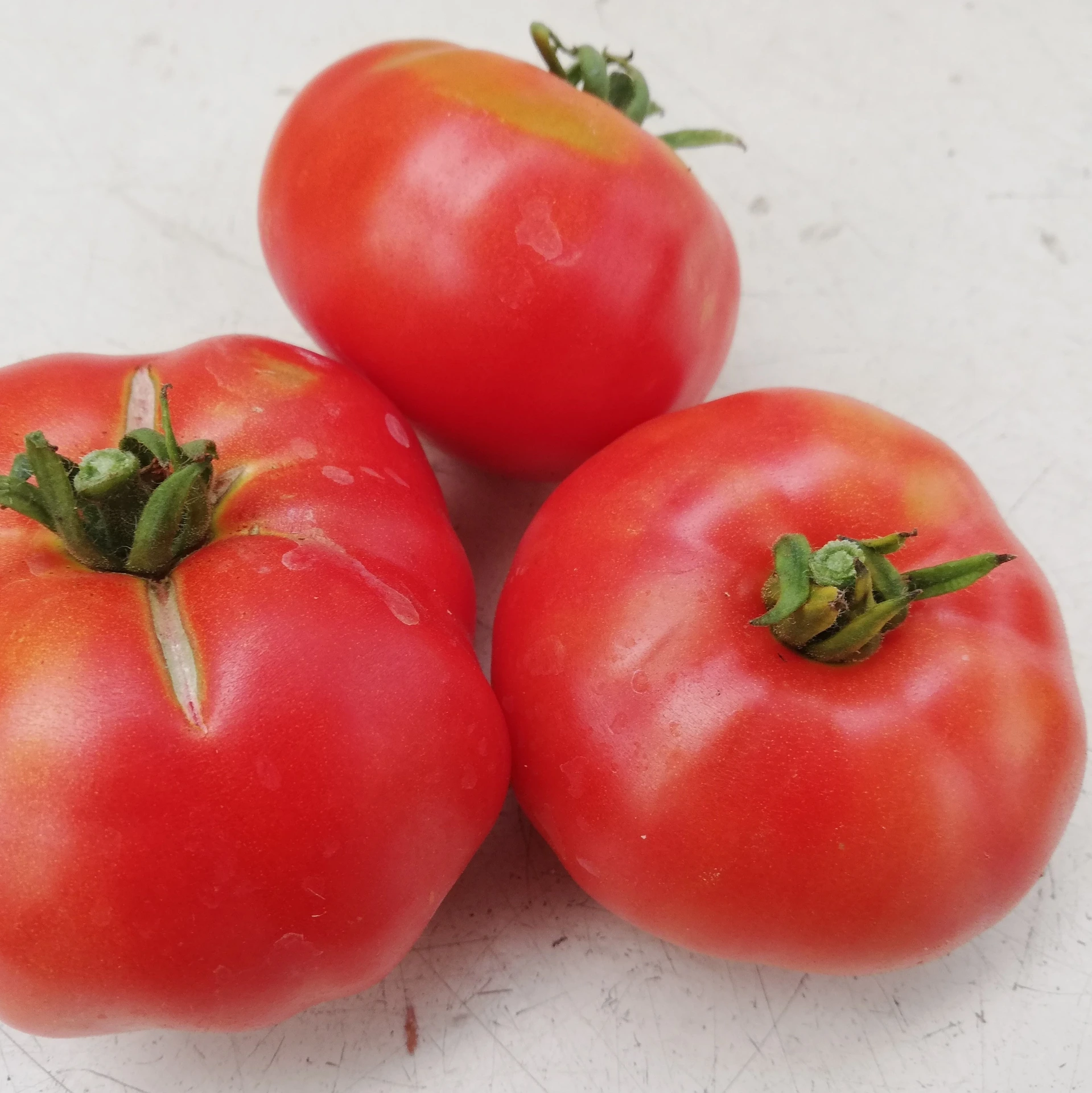 [S78383] Tomate Rouge de Namur - 15 graines